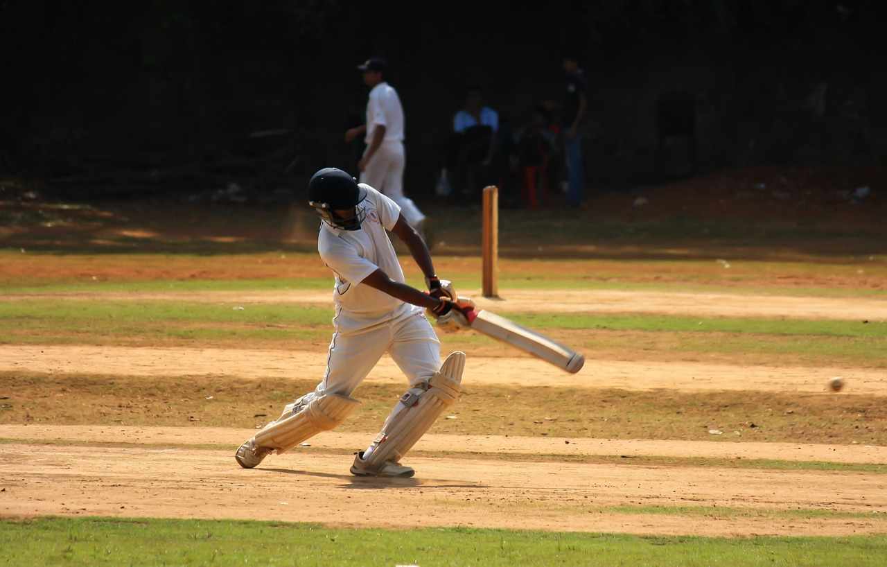 Fantasy Cricket Overview